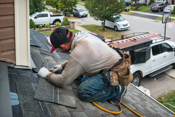 Professional Roofing technician working in Loretto, MN
